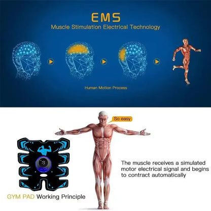 PulseLab Recovery System
