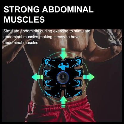 PulseLab Recovery System